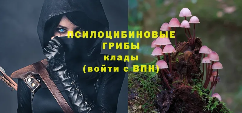 Псилоцибиновые грибы MAGIC MUSHROOMS  omg   Вихоревка 